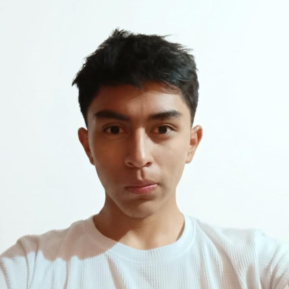 User Image
