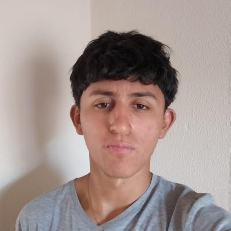User Image